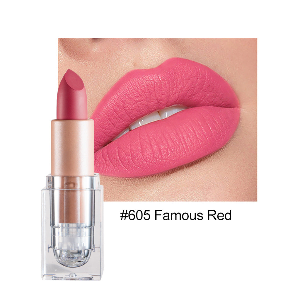 HANDAIYAN Matte Nude Lipstick Collection