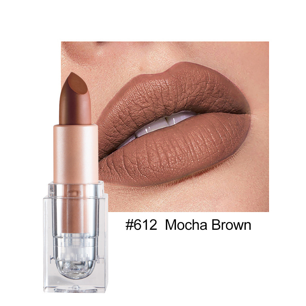 HANDAIYAN Matte Nude Lipstick Collection