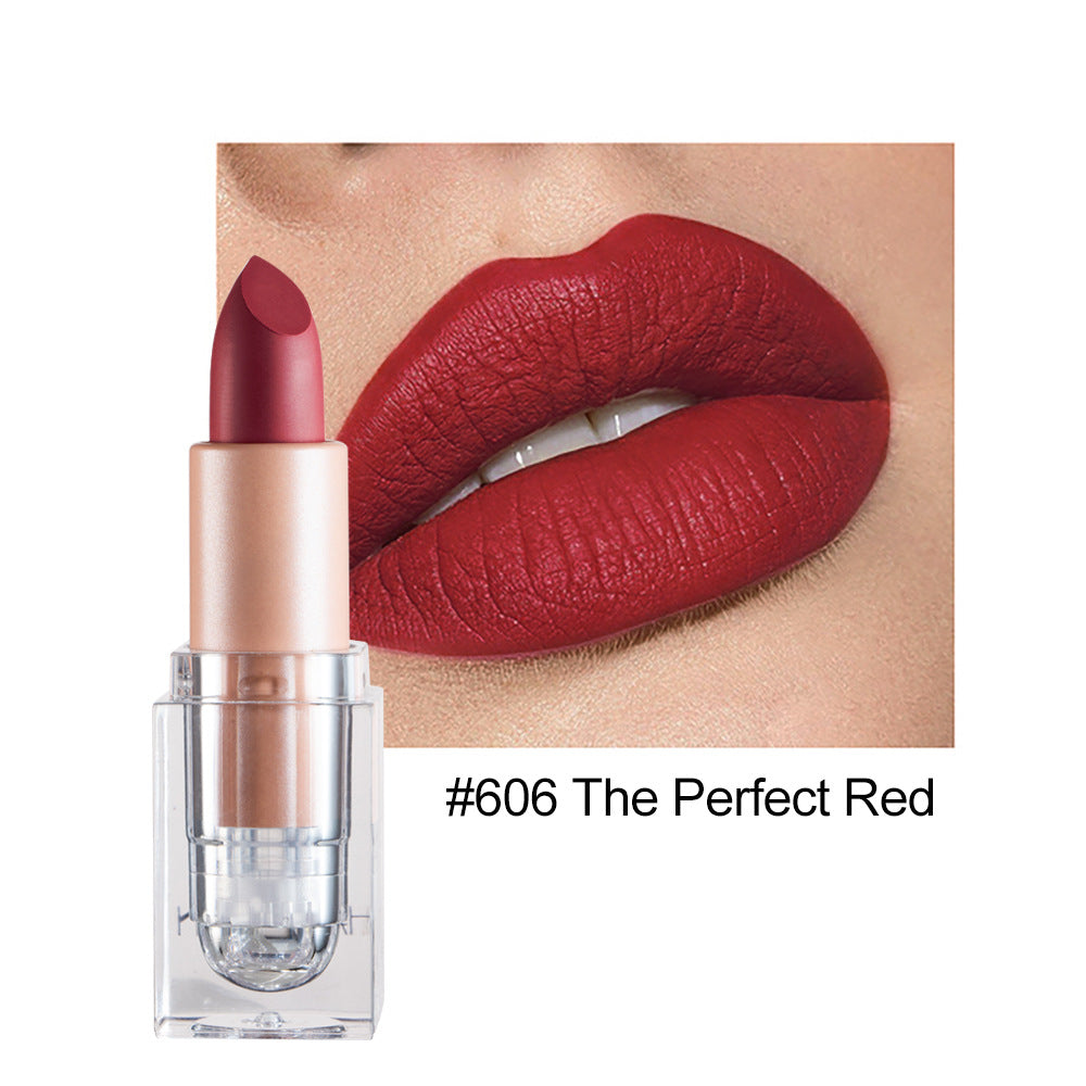 HANDAIYAN Matte Nude Lipstick Collection
