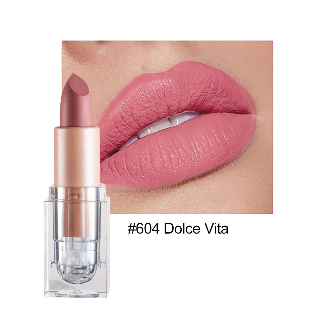 HANDAIYAN Matte Nude Lipstick Collection