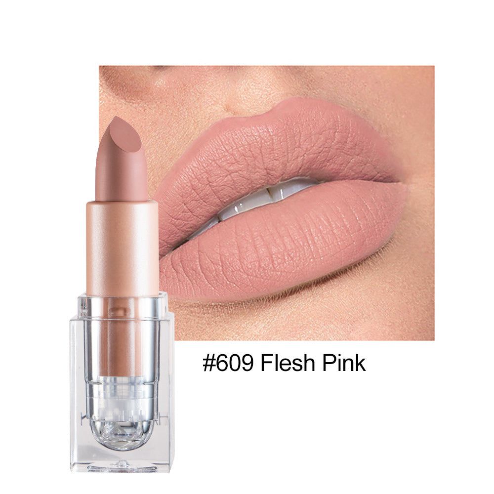 HANDAIYAN Matte Nude Lipstick Collection