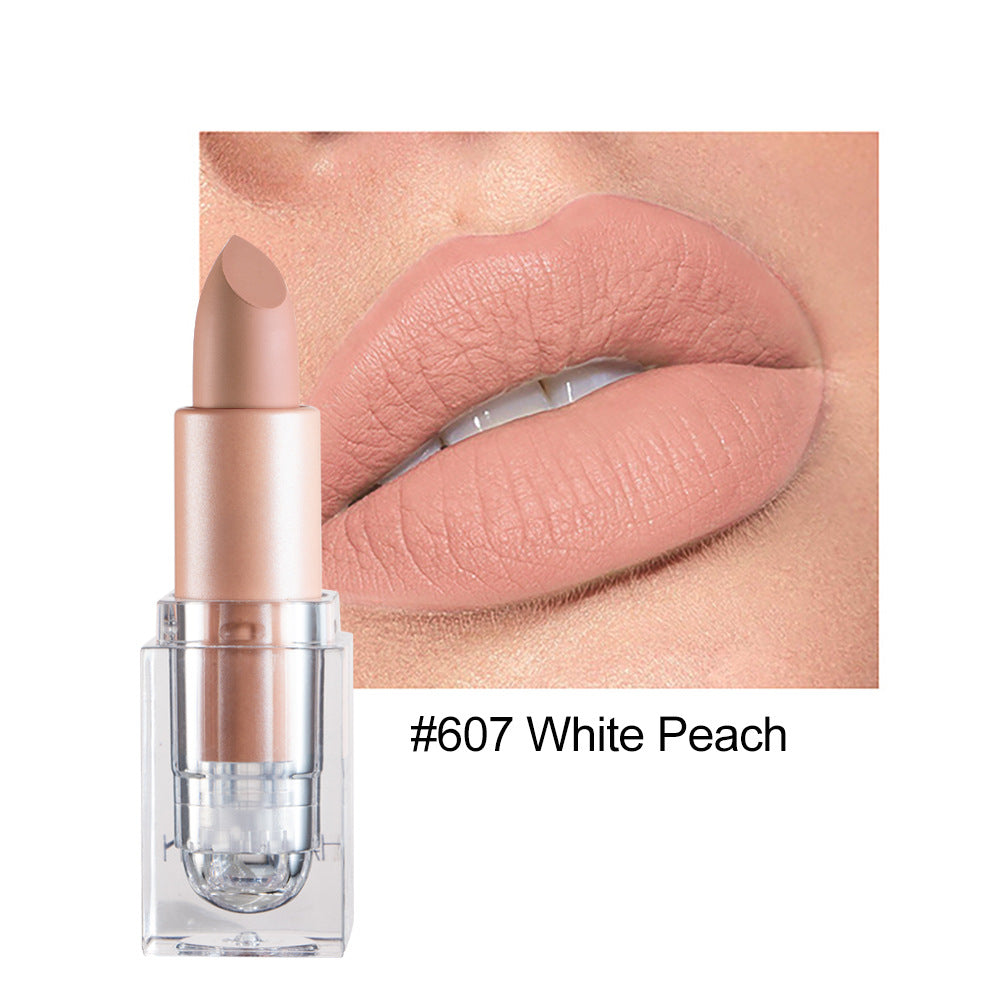 HANDAIYAN Matte Nude Lipstick Collection