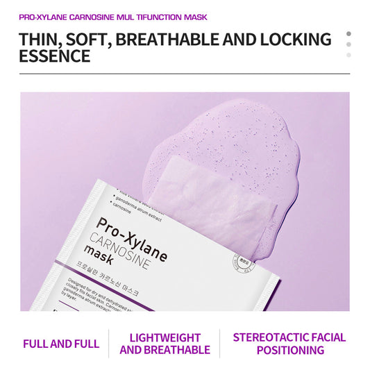 DEleventh Pro-Xylane Sheet Mask - Anti-Aging & Hydrating Treatment (Korean Skincare)