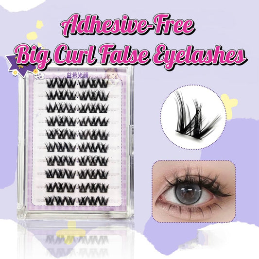 No-Glue Big Bloom Lashes